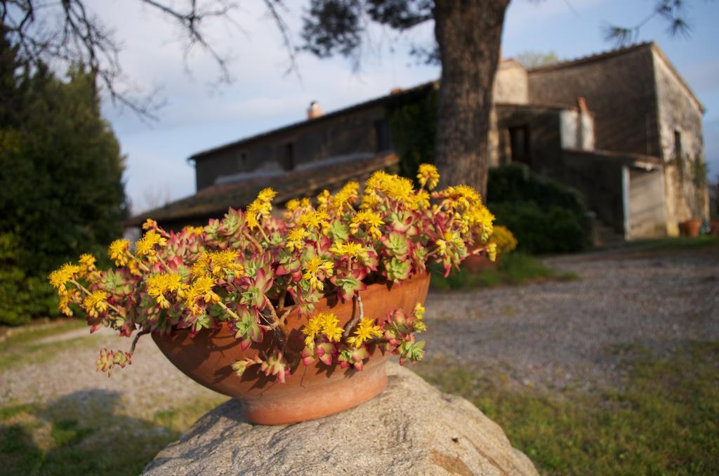 Podere Pinzicalari Panzió Castel del Piano Kültér fotó