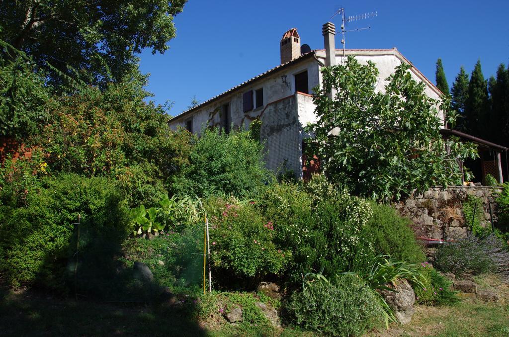 Podere Pinzicalari Panzió Castel del Piano Kültér fotó