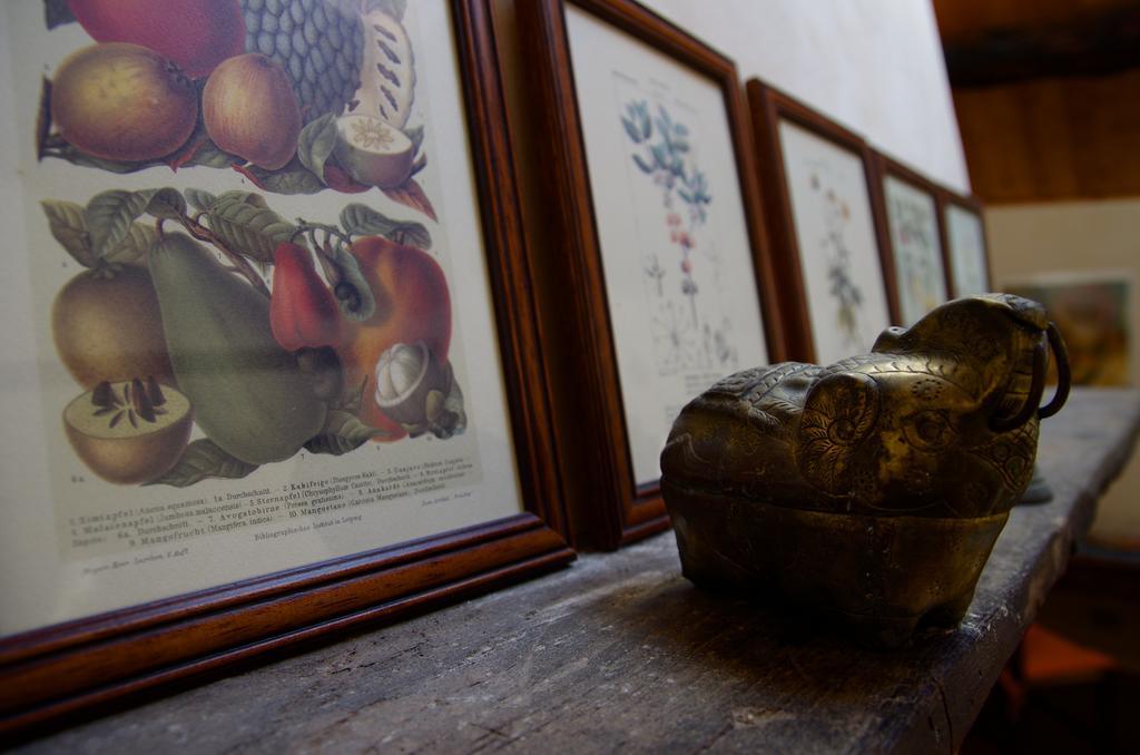 Podere Pinzicalari Panzió Castel del Piano Szoba fotó