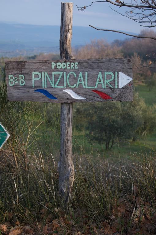 Podere Pinzicalari Panzió Castel del Piano Kültér fotó